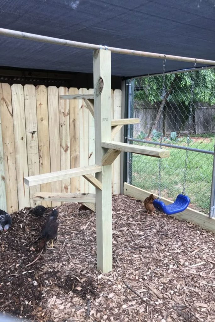 Recycled fence board chicken roost rail design