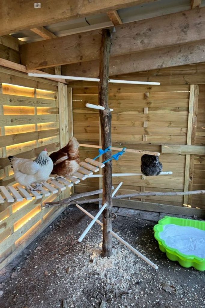 Split log channel chicken roost track layout