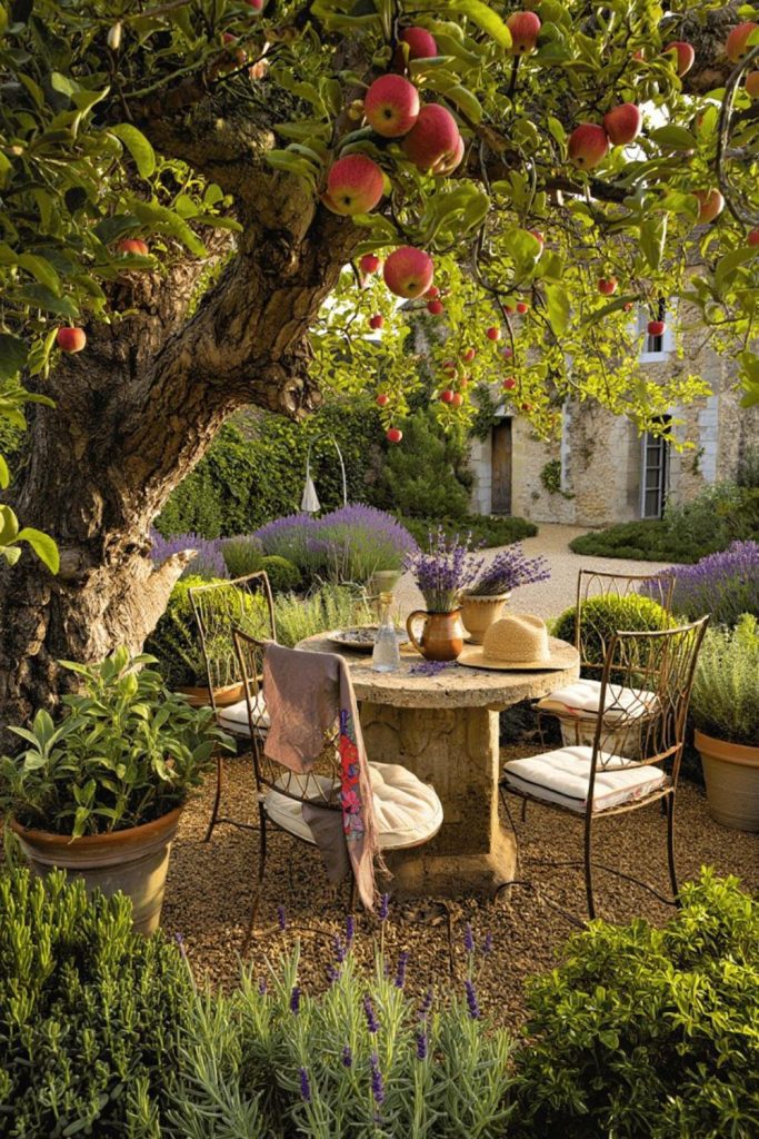 Rolling vineyard rustic French countryside garden escape
