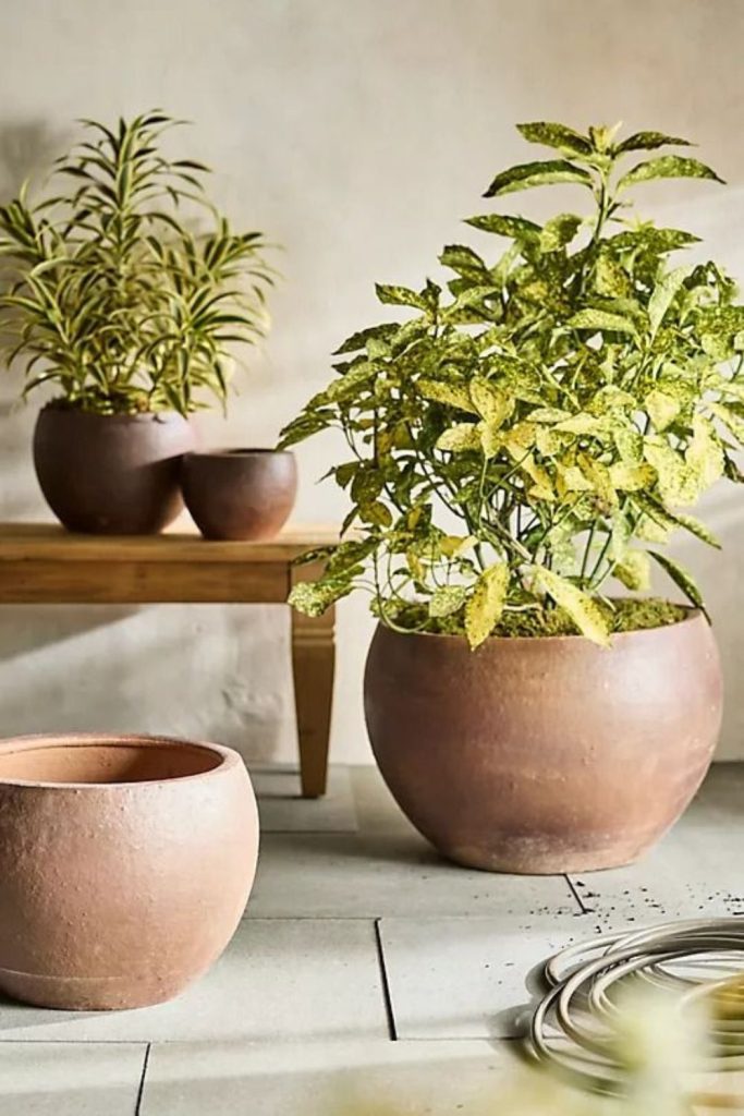 Amber grove warm earthy garden pot