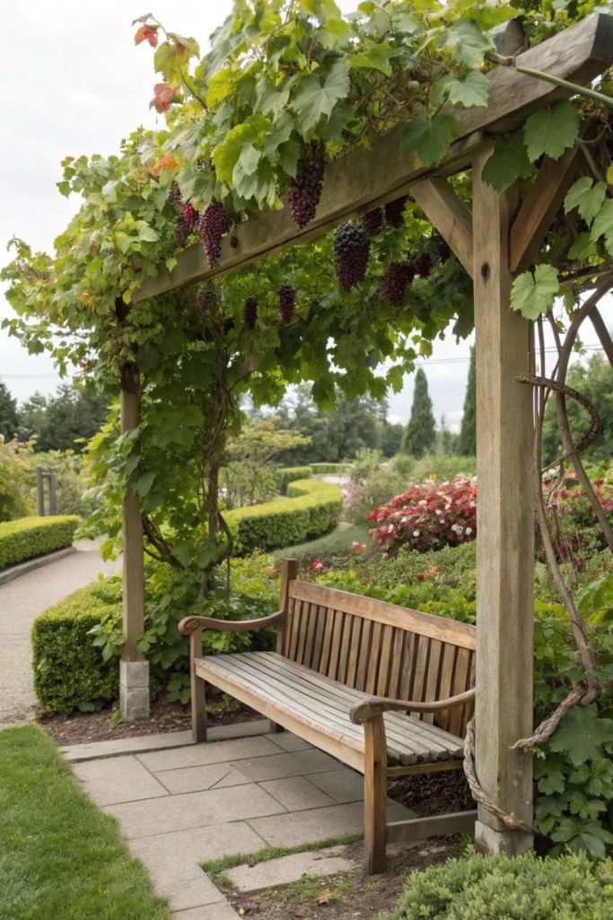 Arched wooden trellis with grapevines.
