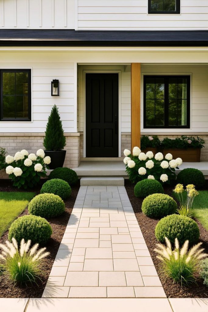 Minimal lawn with accent plant