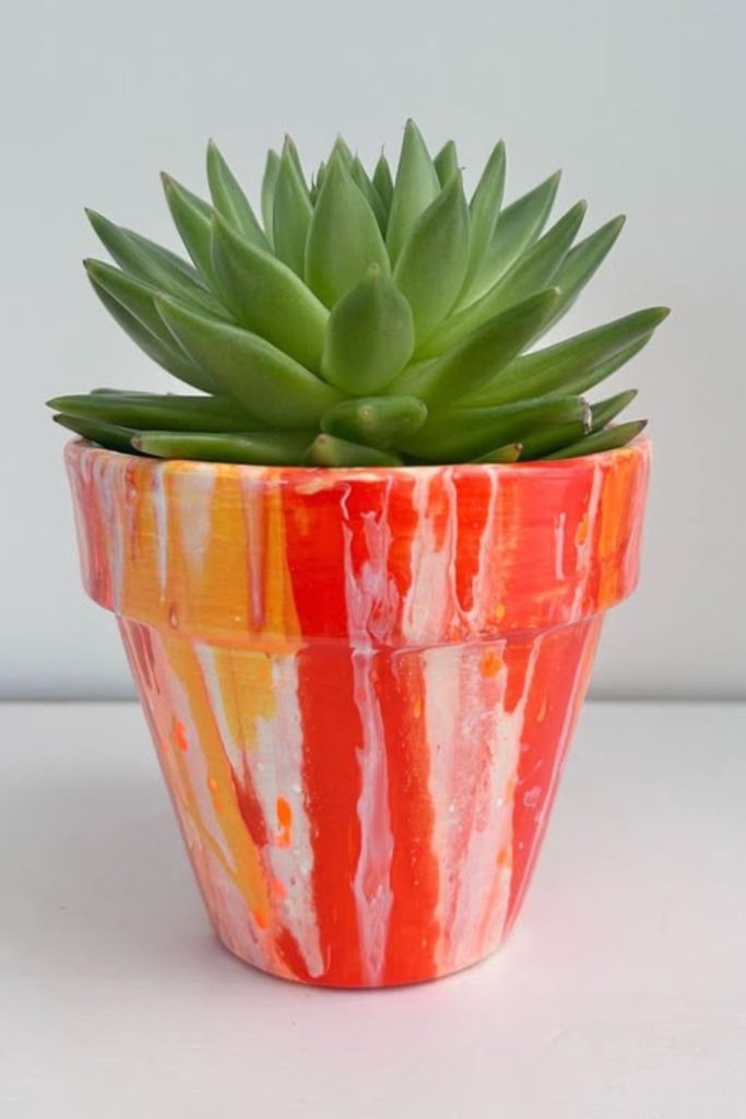 Citrus splash bright energy pot