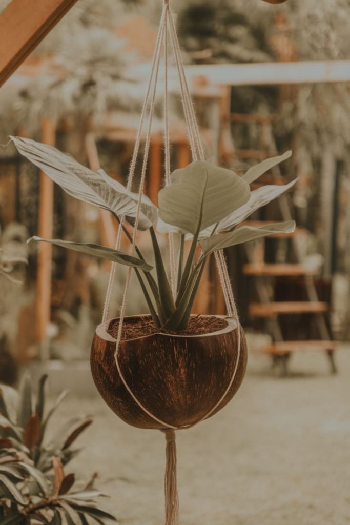 Coconut planter tropical hanging garden