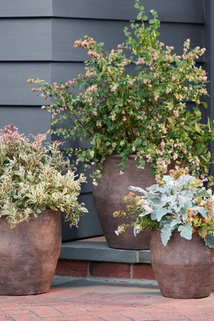 Ember ridge earthy textured planter pot