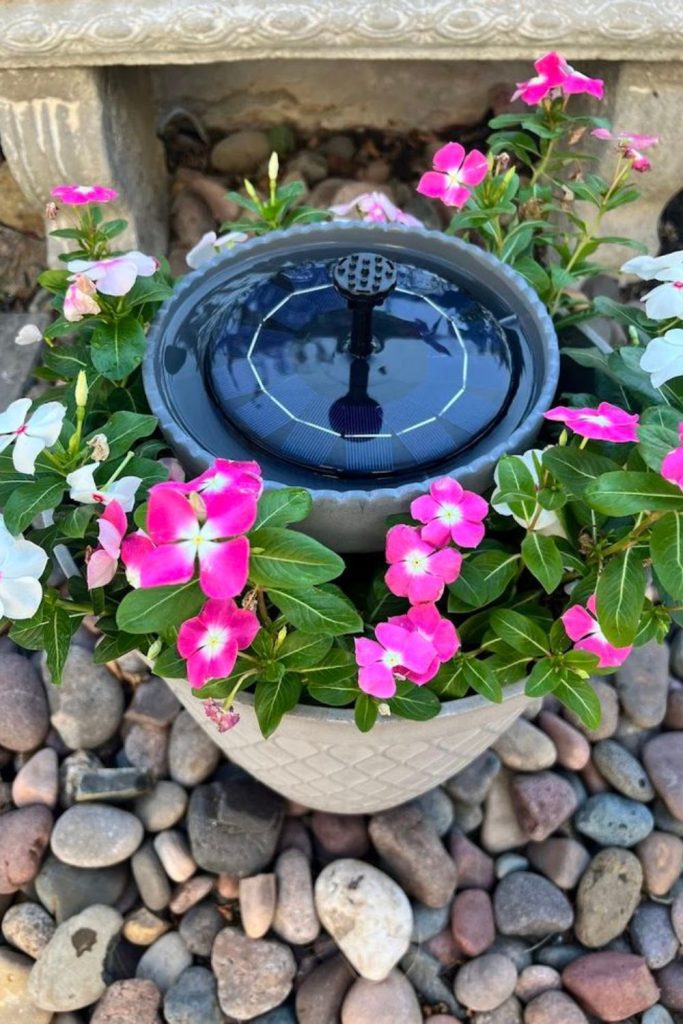 Flower pot saucer bee bath.