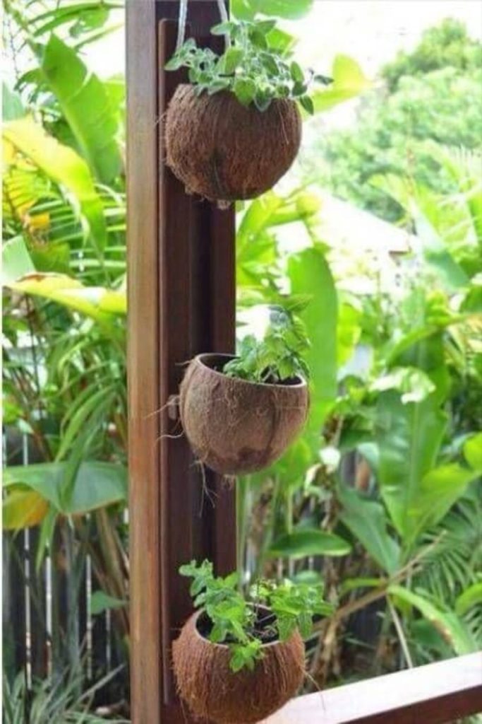 Coconut shell hanging tropical planter pots