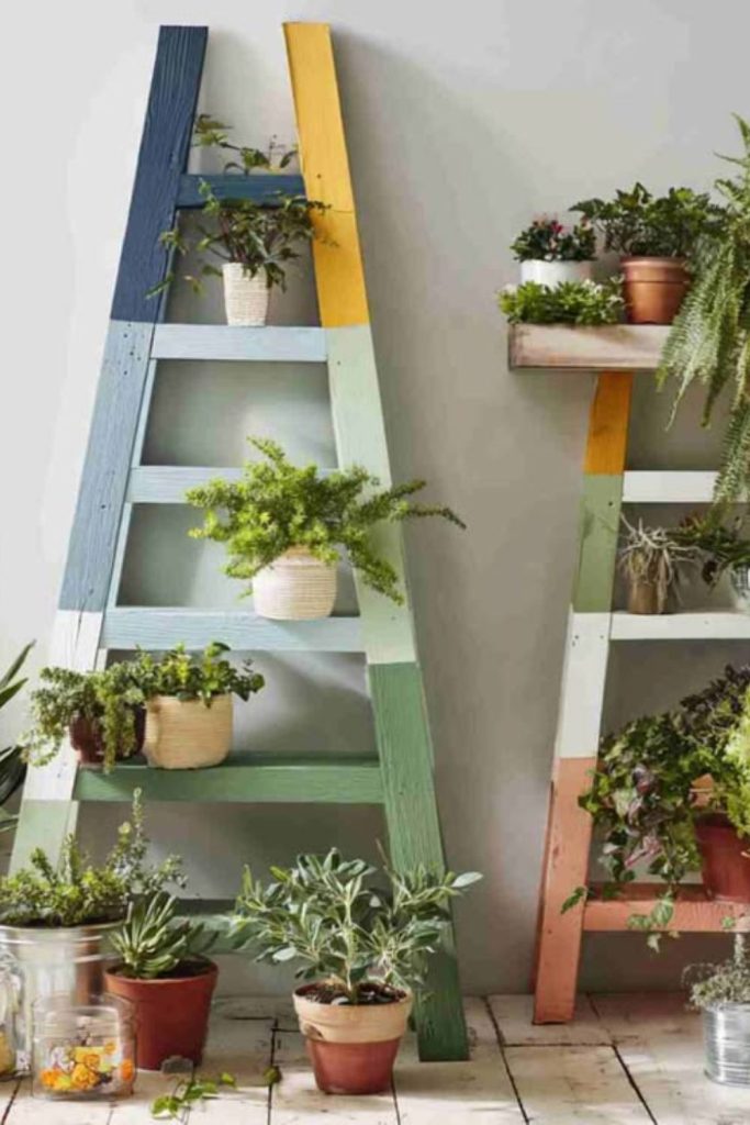 Rustic ladder tiered plant rack
