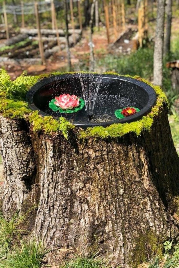 Rustic log slice bee bath.