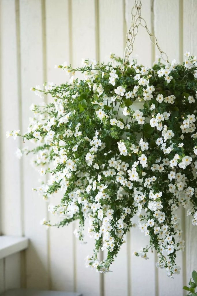 White floral night hanging decor