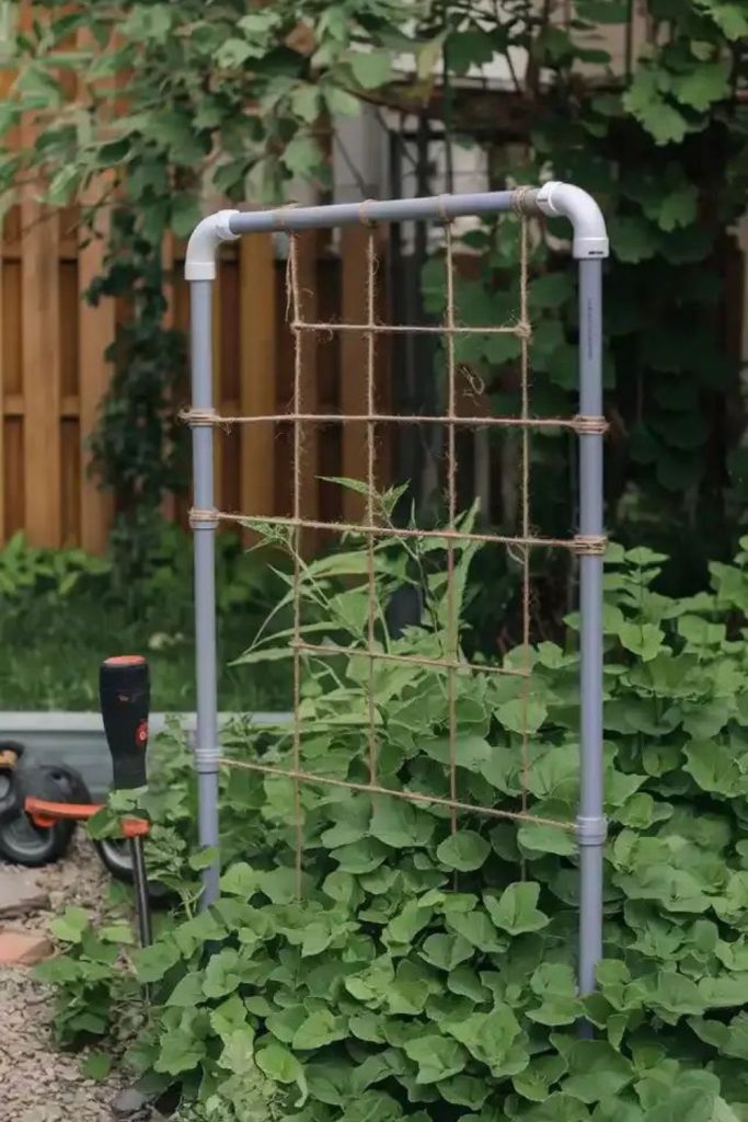 PVC pipe vegetable garden trellis