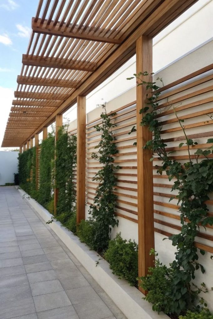 Pergola side trellis with vines.