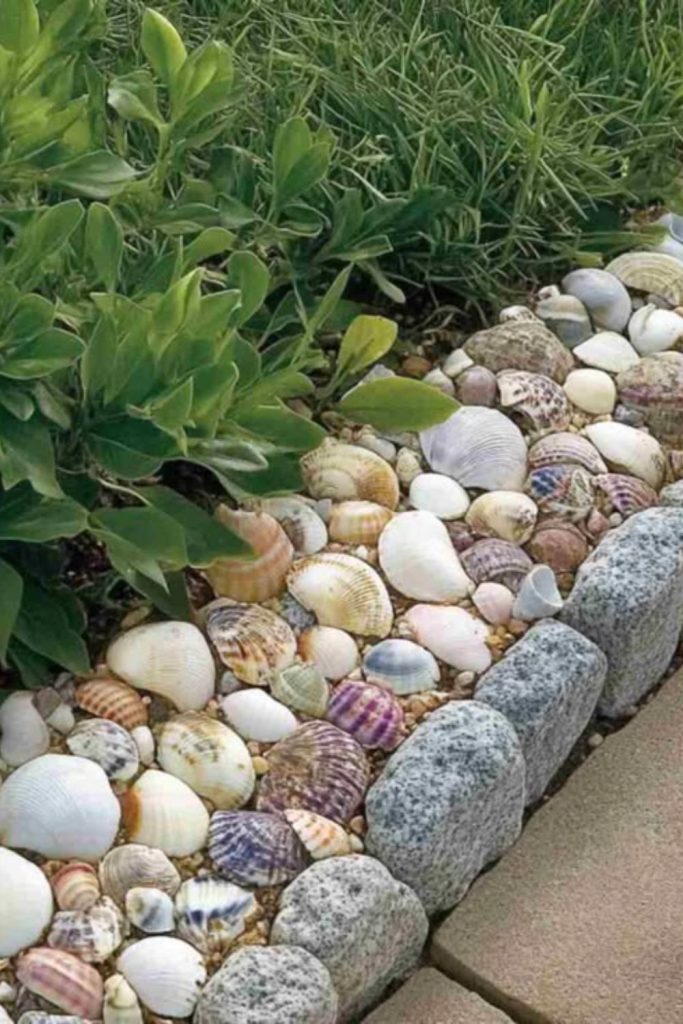 Seashell coastal themed garden edging look