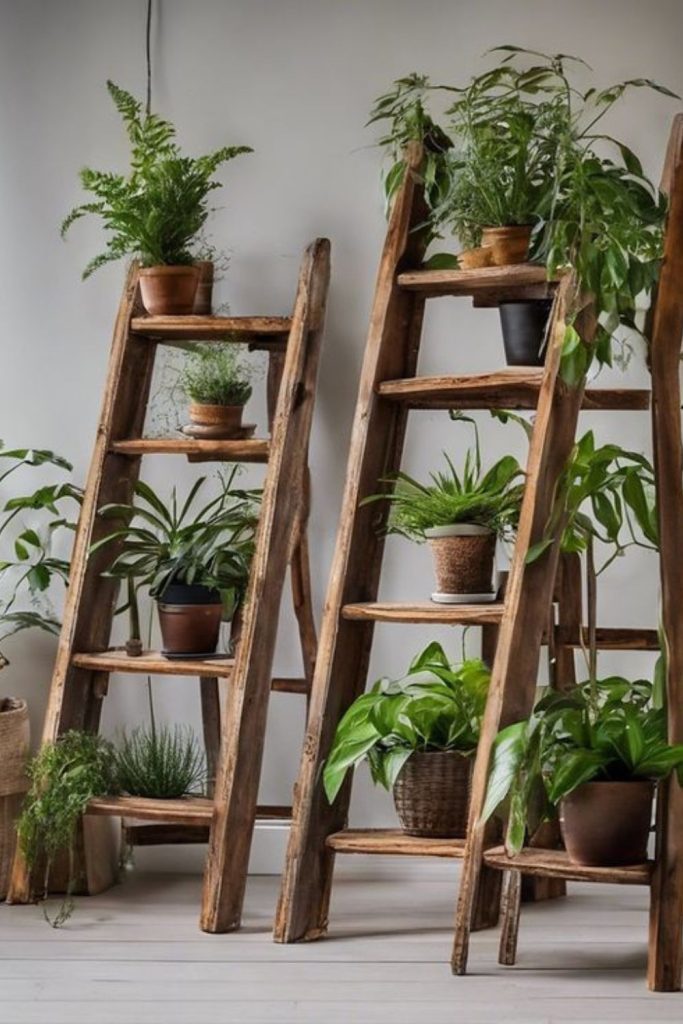 Mini staircase tiered plant display