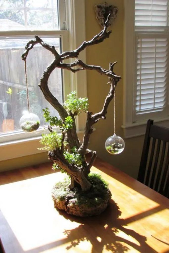 Tree branch A frame plant stand