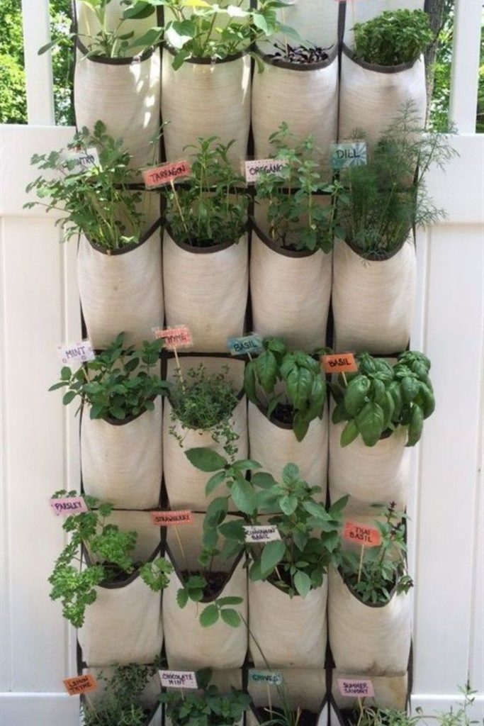 Vertical shoe organizer pocket plant wall