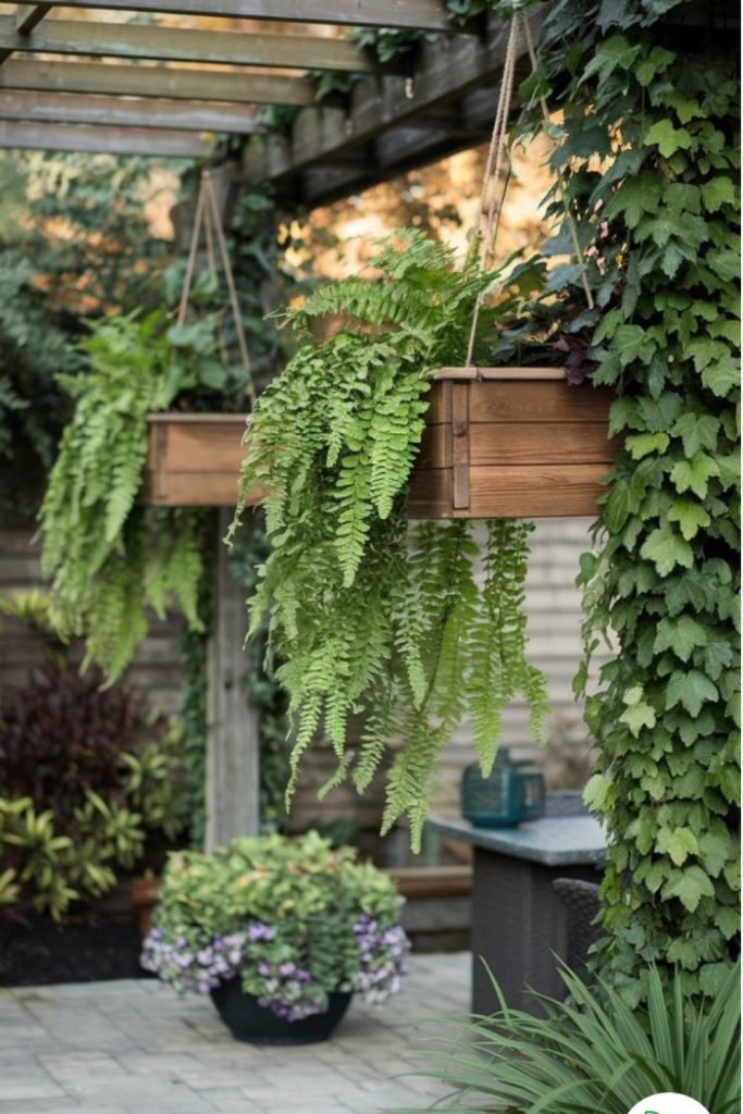 Cascading ivy balcony green curtain