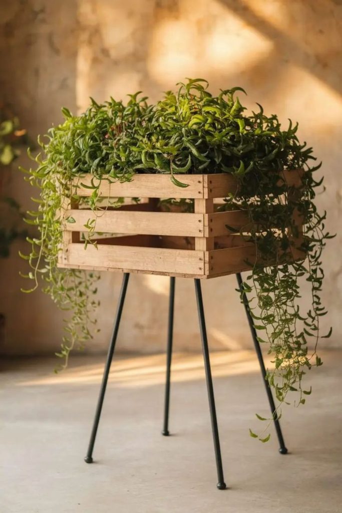 Woven basket wooden plant stand fusion