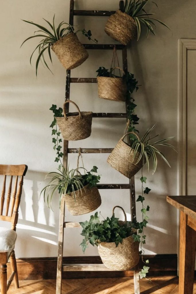 Wall mounted ladder plant shelf system