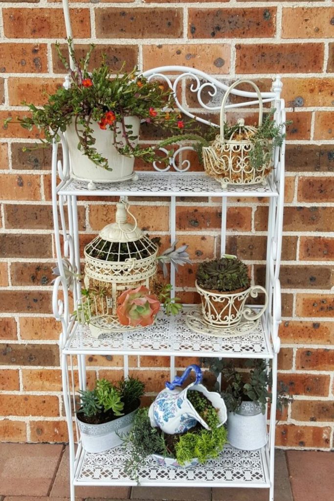 Metal basket vertical plant stand.