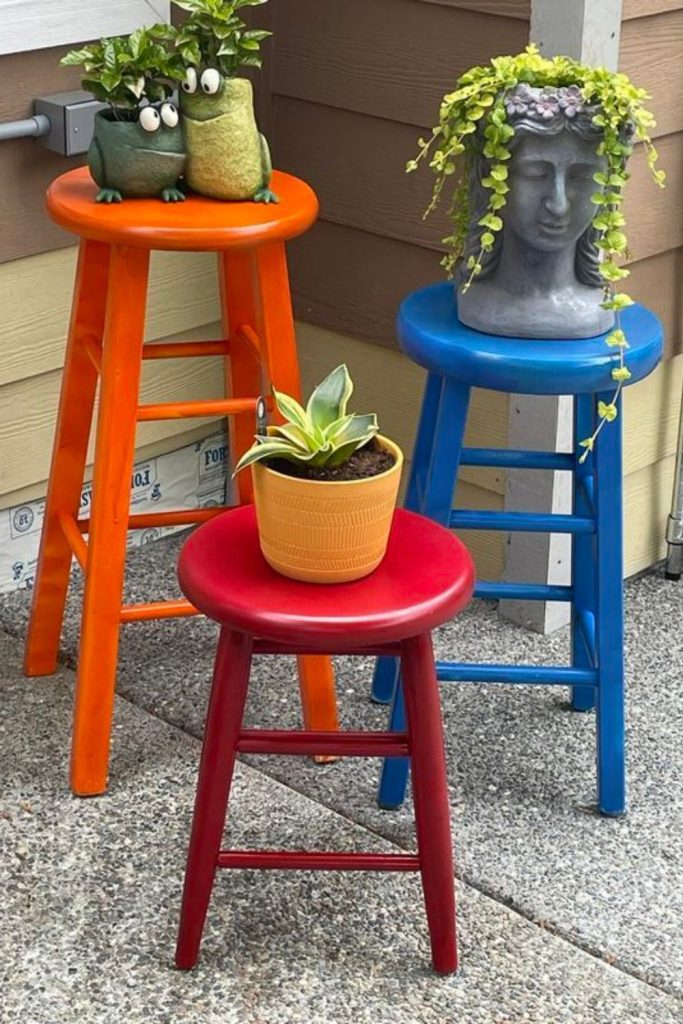 Colorful stool turned plant display perch