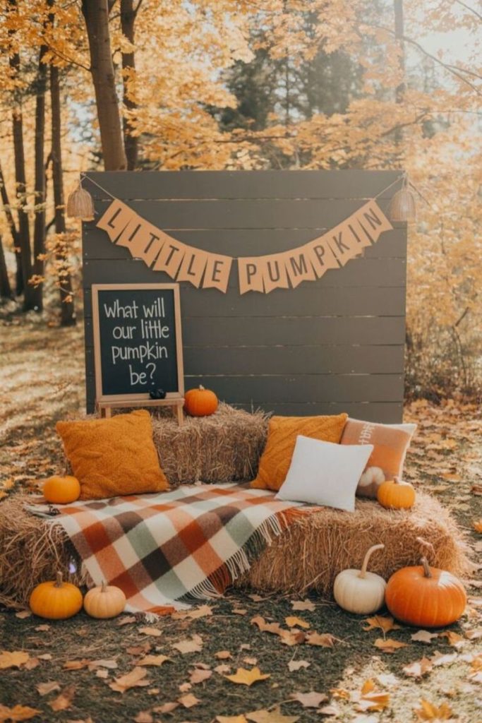 Luxurious velvet pumpkin elegant baby shower