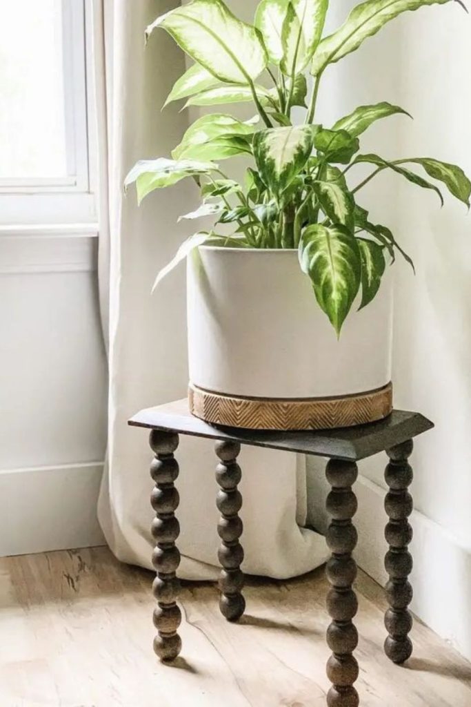 Wooden round elevated plant display riser