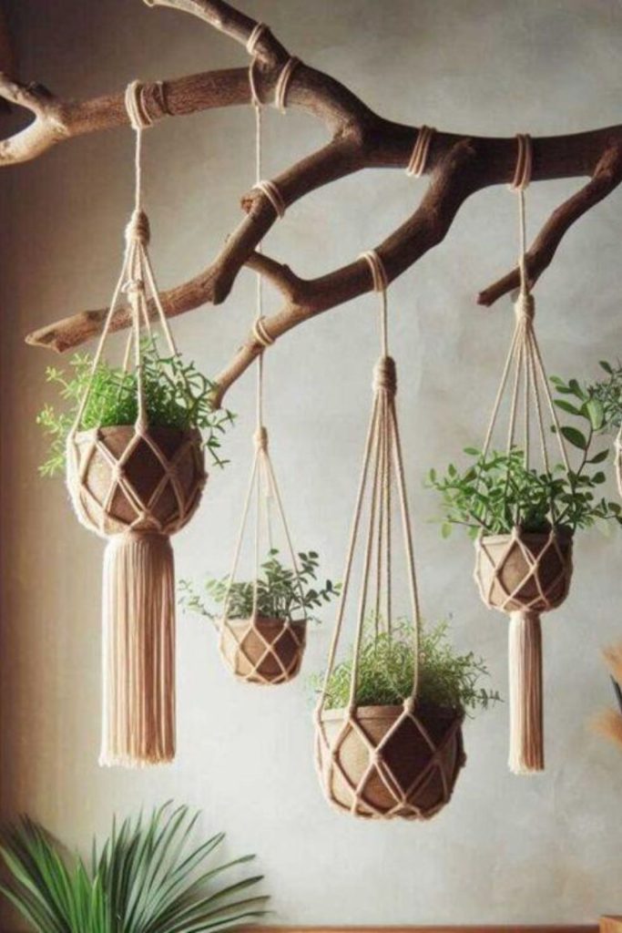 Natural tree branch plant pedestal.