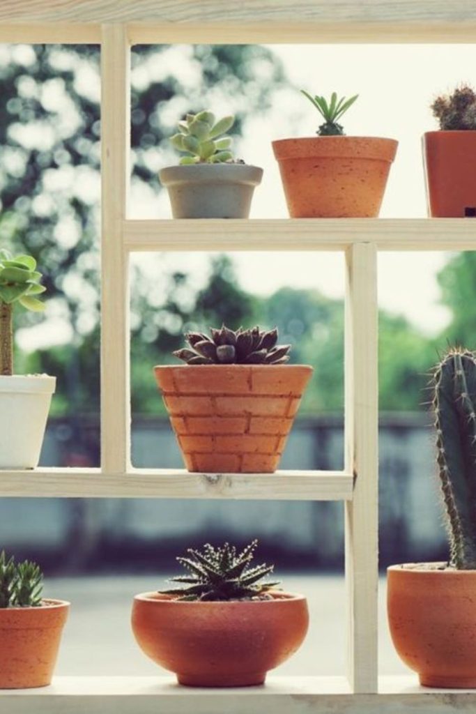 Vintage window frame plant display rack