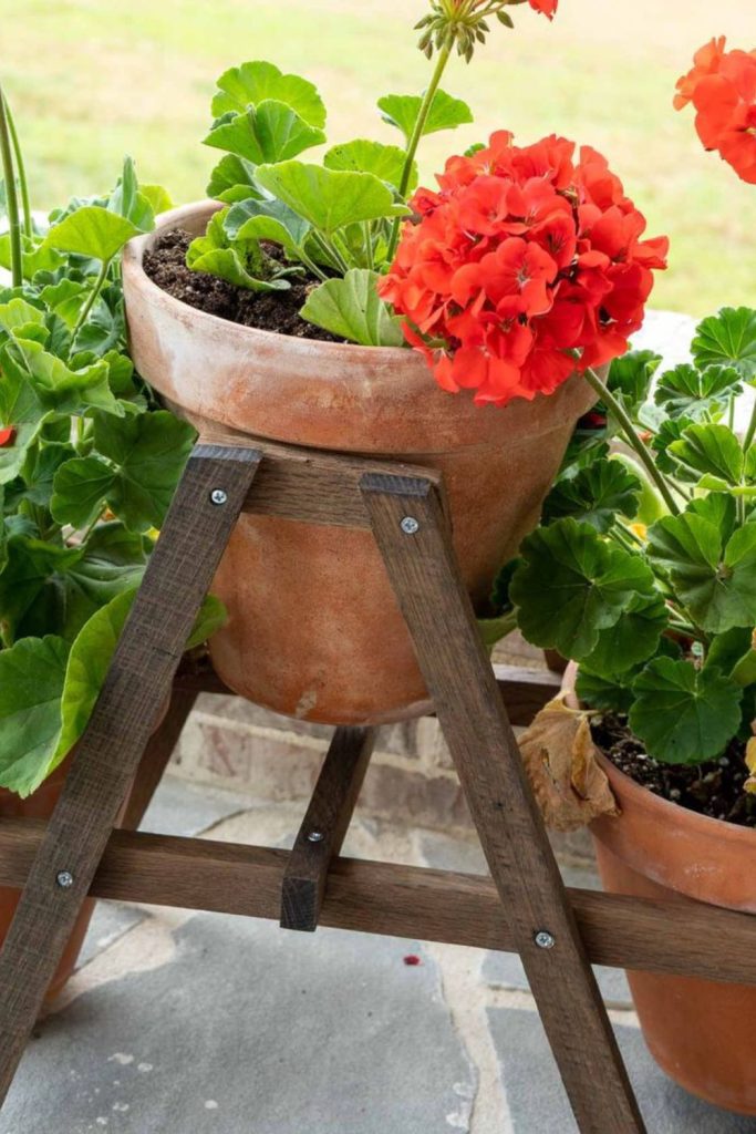 Crossed wood X-frame plant support stand