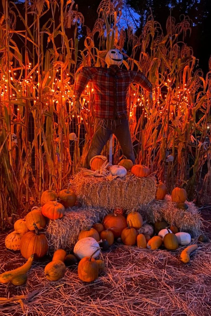 Haunted hay bale display with scarecrows.