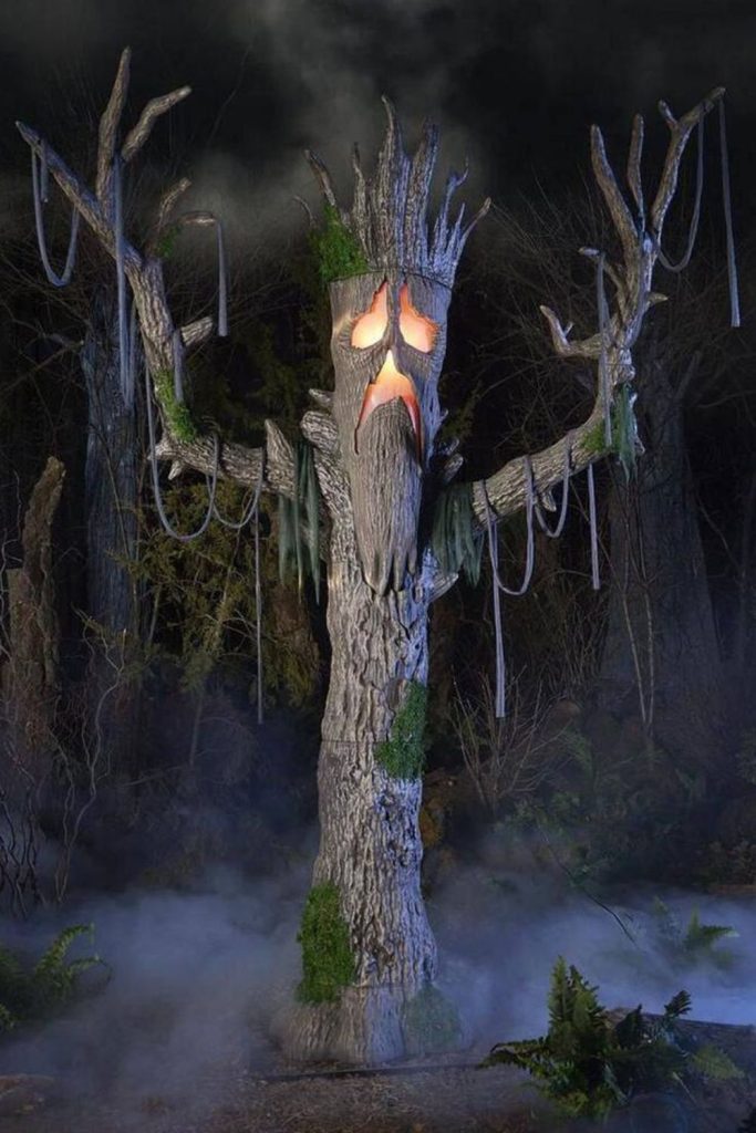 Haunted tree face glowing mysteriously outdoors.