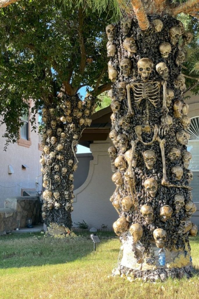 Skeletons hanging from spooky orchard trees.
Haunted mailbox with miniature skeleton surprise.
Phantom ghosts hanging among graveyard trees.
Colorful monster party decorating Halloween porch.