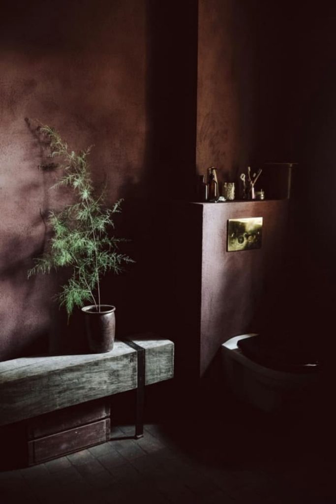 Moody plum textured limewash wall.