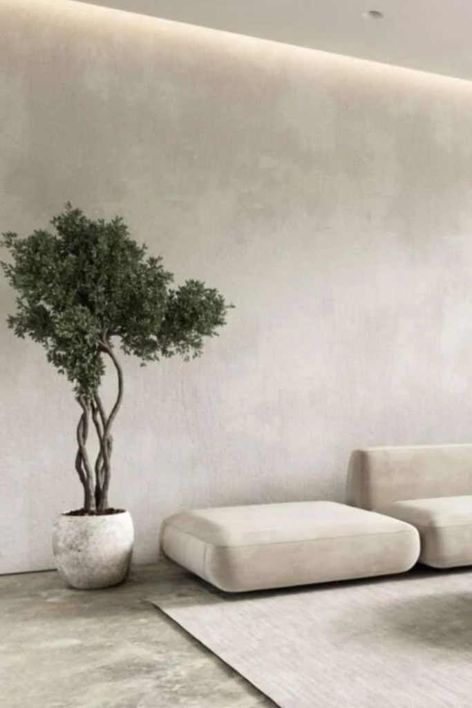 Frosted dove elegant plaster wall